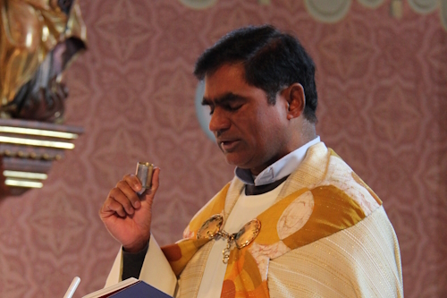 Katharina Mayrhuber, MSc