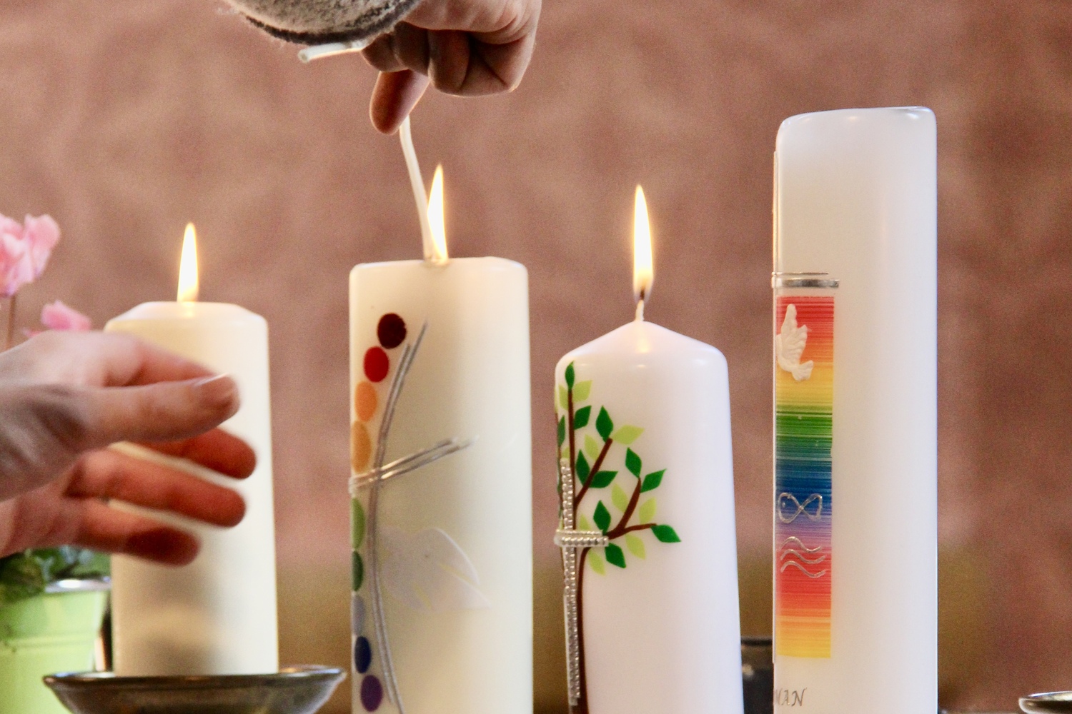 Katharina Mayrhuber, MSc